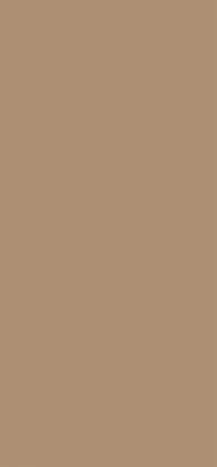 EGGER U250 ST9 – Caramelbeige Dekoransicht